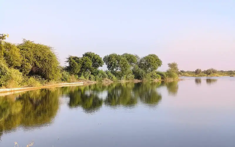Bhawrani