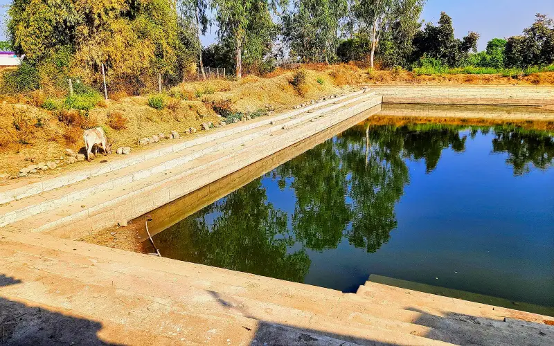 0012623 Jagannadh temple, Khallari Chhattisgarh 064