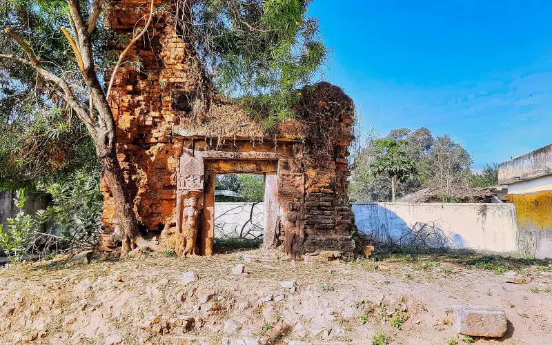 Vishnu temple ruins, Pujaripali Maharajpur Chhattisgarh 002