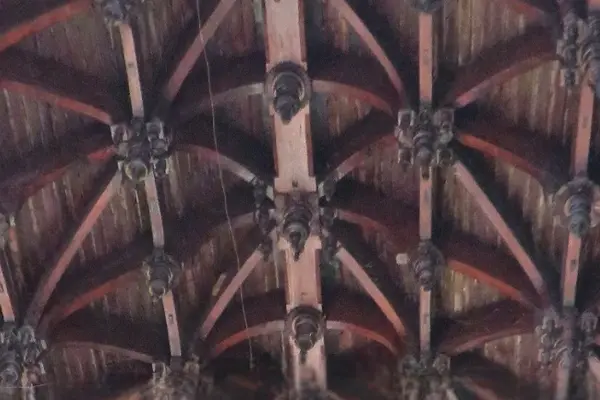Nellaiappar carved wooden roof
