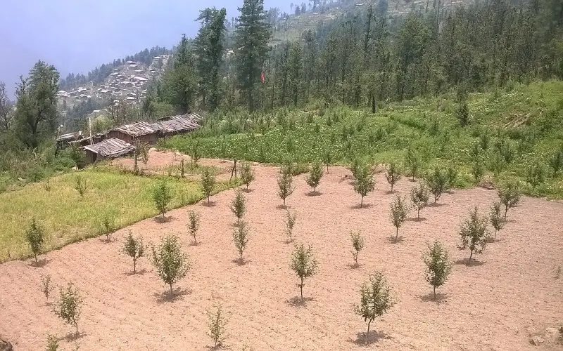 Mori, Purola, uttarkashi, uttarakhand