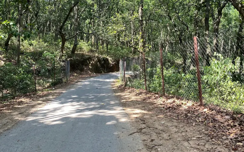 Kot Trail in Kaleshwar National Park Panch Khola Haryana